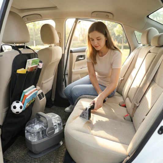Taurus Spot Cleaner